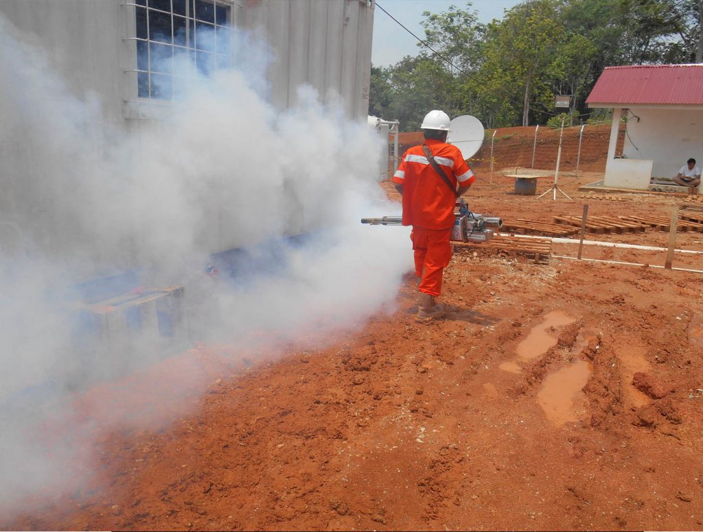 imghse1_11_1__medium